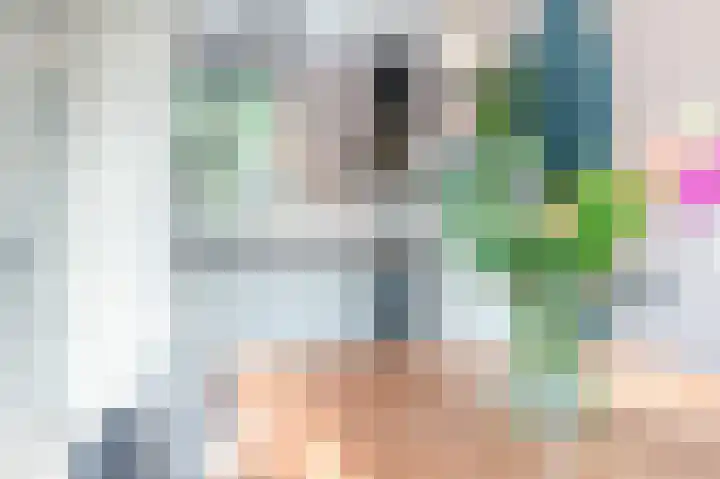Meeuwenlaan 103 Zwolle thumbnail 20