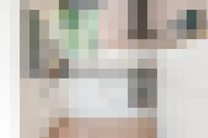 Meeuwenlaan 103 Zwolle thumbnail 21