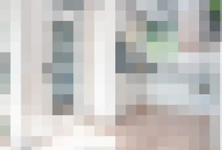 Meeuwenlaan 103 Zwolle thumbnail 23