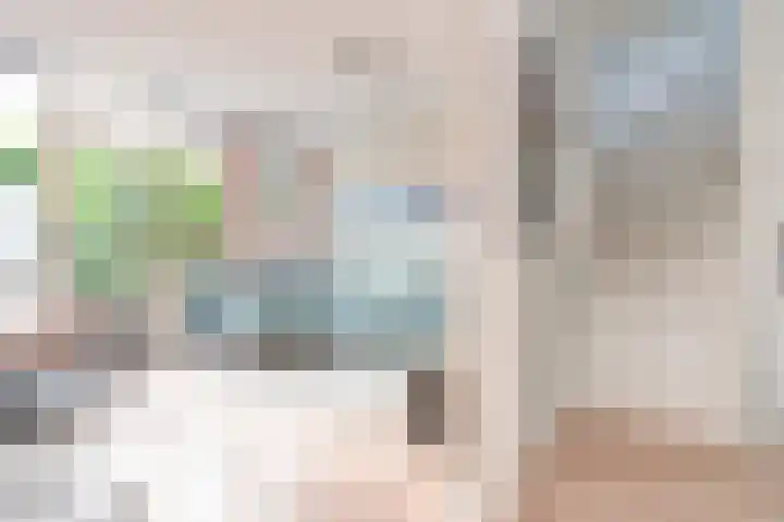 Meeuwenlaan 103 Zwolle thumbnail 24