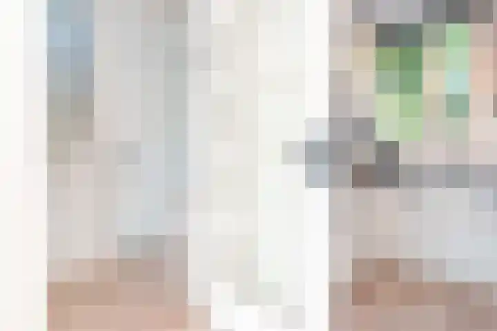 Meeuwenlaan 103 Zwolle thumbnail 26
