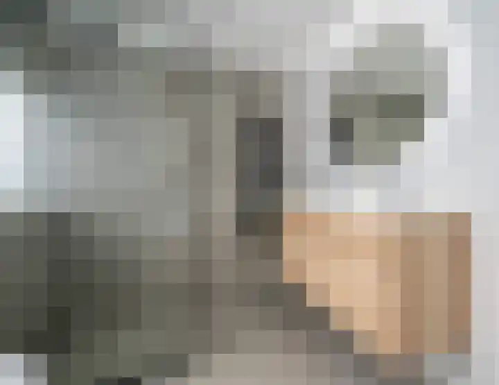 Meeuwenlaan 103 Zwolle thumbnail 28
