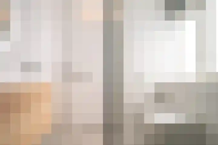 Meeuwenlaan 103 Zwolle thumbnail 30