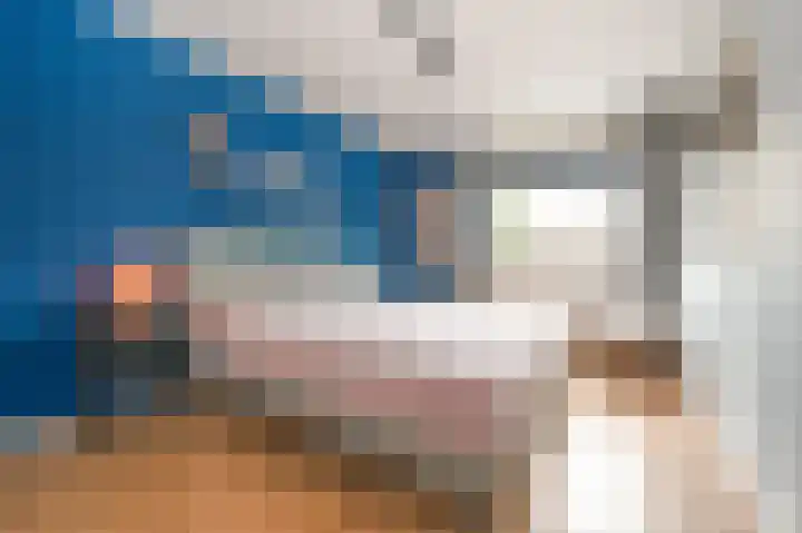 Meeuwenlaan 103 Zwolle thumbnail 33