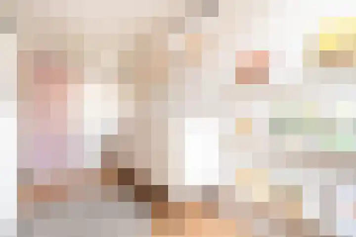 Meeuwenlaan 103 Zwolle thumbnail 38