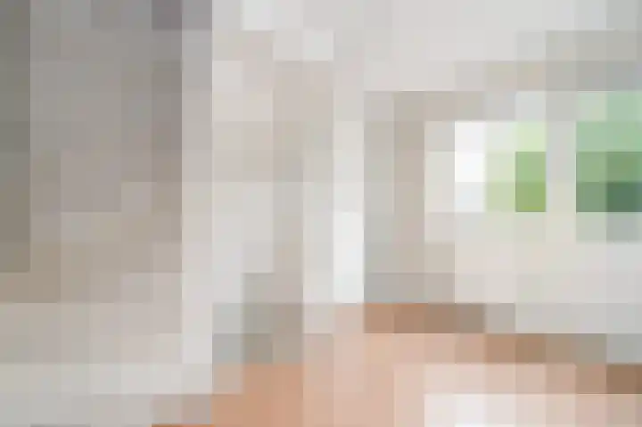 Meeuwenlaan 103 Zwolle thumbnail 39