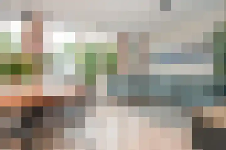 Meeuwenlaan 103 Zwolle thumbnail 4
