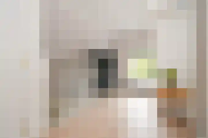 Meeuwenlaan 103 Zwolle thumbnail 40