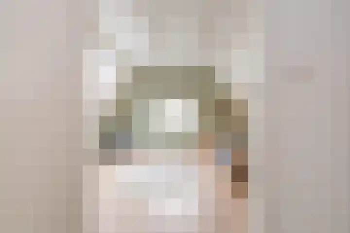 Meeuwenlaan 103 Zwolle thumbnail 42