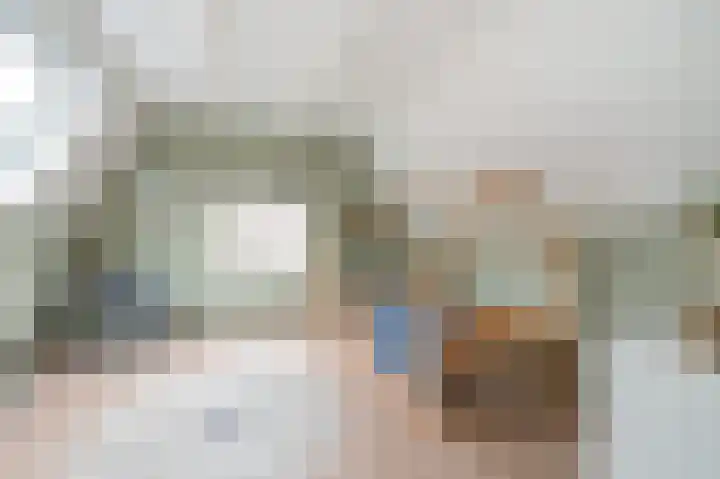 Meeuwenlaan 103 Zwolle thumbnail 43