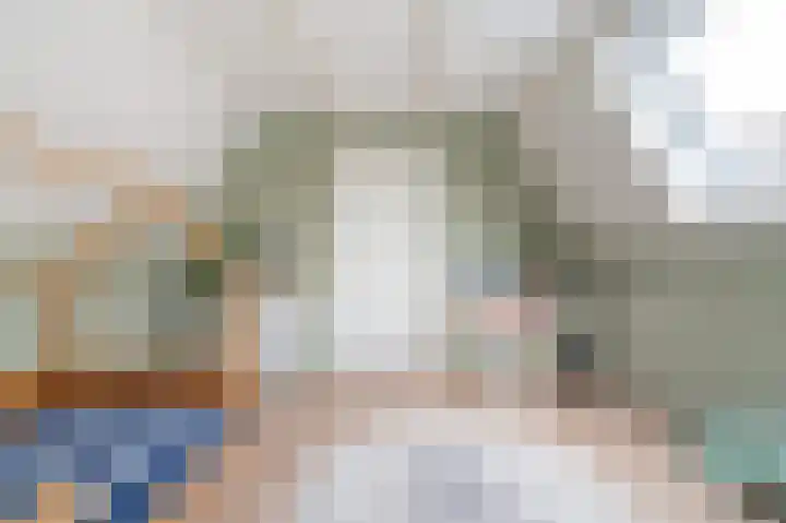 Meeuwenlaan 103 Zwolle thumbnail 44