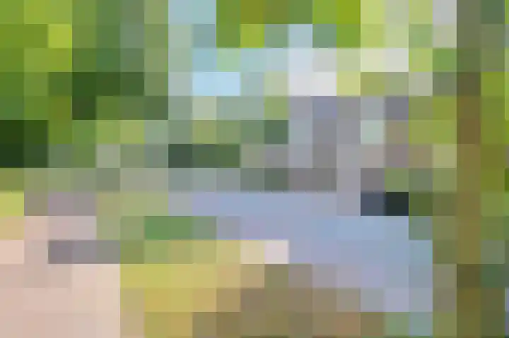 Meeuwenlaan 103 Zwolle thumbnail 47