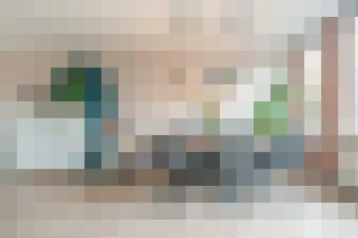 Meeuwenlaan 103 Zwolle thumbnail 5
