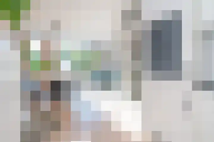 Meeuwenlaan 103 Zwolle thumbnail 7
