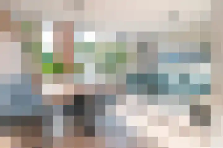 Meeuwenlaan 103 Zwolle thumbnail 8