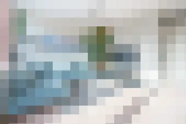 Meeuwenlaan 103 Zwolle thumbnail 9