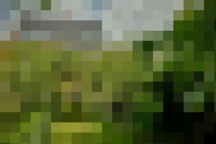 Meeuwenlaan 104 A Amsterdam thumbnail 12