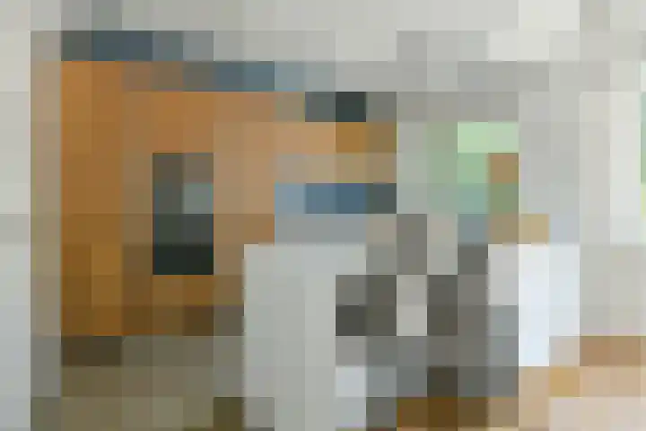 Meeuwenlaan 104 A Amsterdam thumbnail 14