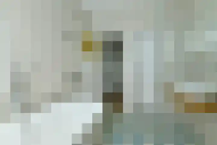 Meeuwenlaan 104 A Amsterdam thumbnail 29