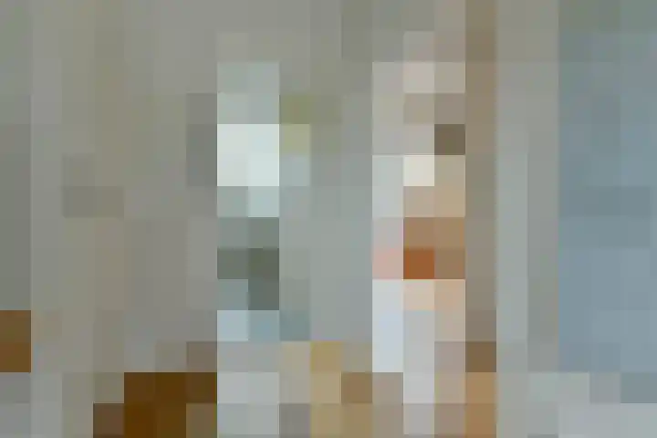 Meeuwenlaan 104 A Amsterdam thumbnail 33