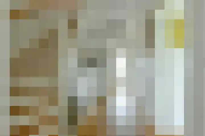 Meeuwenlaan 104 A Amsterdam thumbnail 34