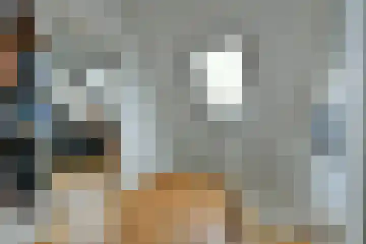 Meeuwenlaan 104 A Amsterdam thumbnail 39