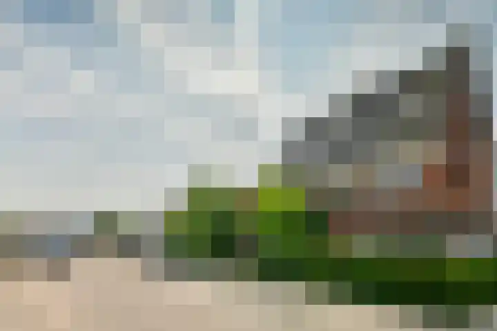Meeuwenlaan 104 A Amsterdam thumbnail 44
