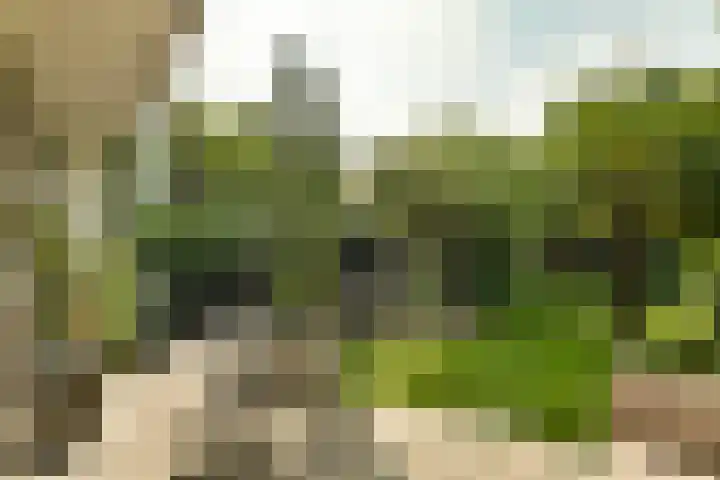 Meeuwenlaan 104 A Amsterdam thumbnail 7