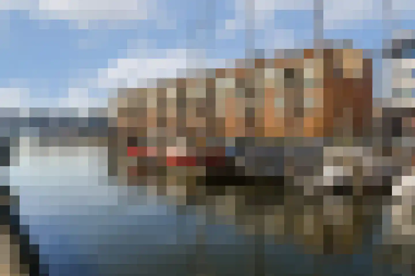 Meeuwenlaan 108 A 1 Amsterdam thumbnail 19
