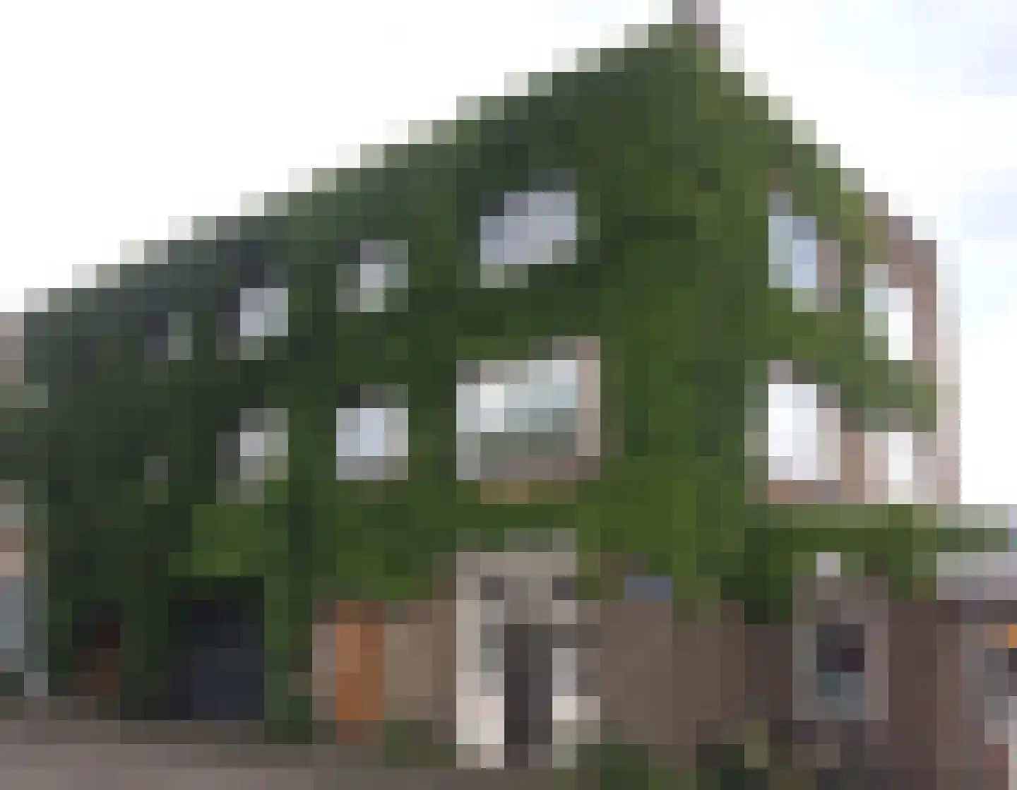 Meeuwenlaan 108 A 1 Amsterdam foto 3