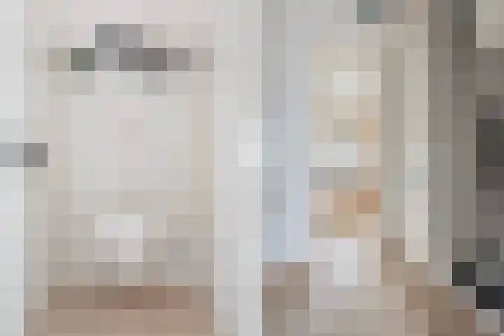 Meeuwenlaan 11 Groot-Ammers thumbnail 11