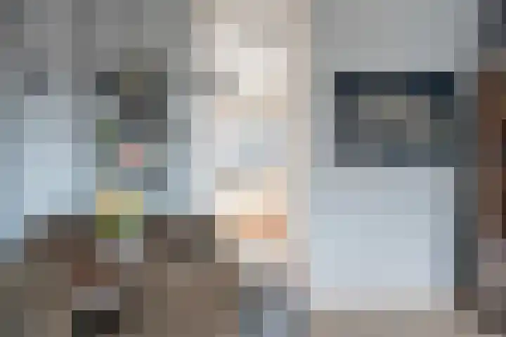 Meeuwenlaan 11 Groot-Ammers thumbnail 13