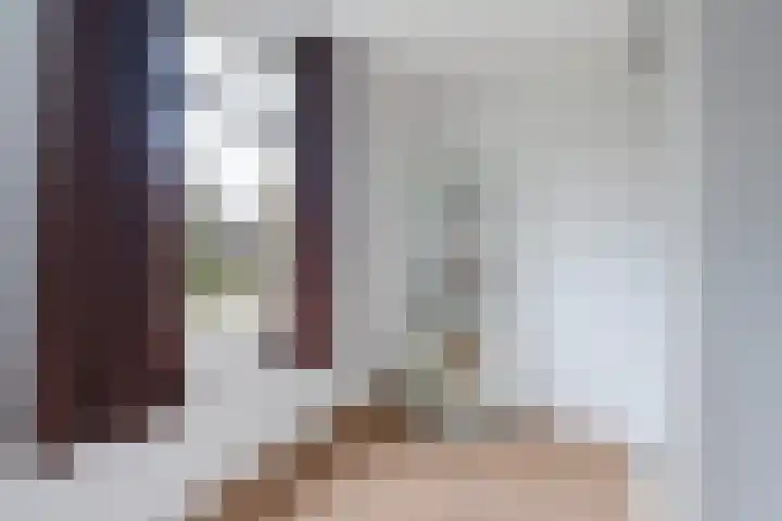 Meeuwenlaan 11 Groot-Ammers thumbnail 15