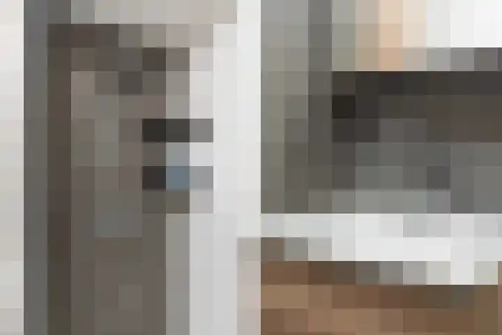 Meeuwenlaan 11 Groot-Ammers thumbnail 23