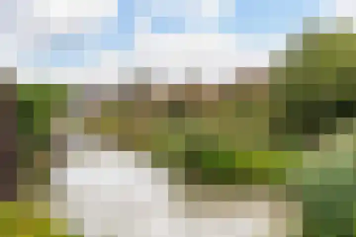 Meeuwenlaan 11 Groot-Ammers thumbnail 24