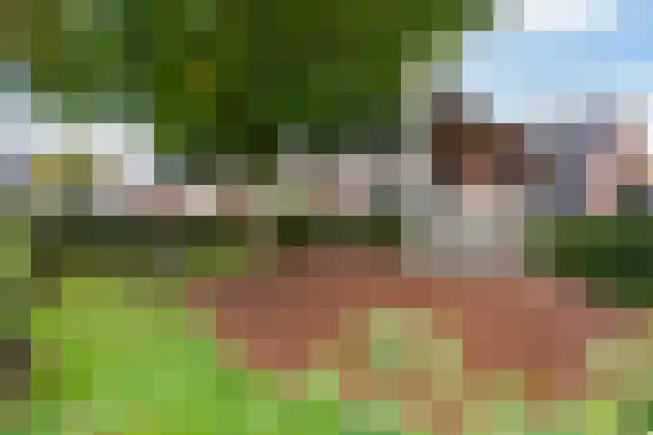 Meeuwenlaan 11 Groot-Ammers thumbnail 26
