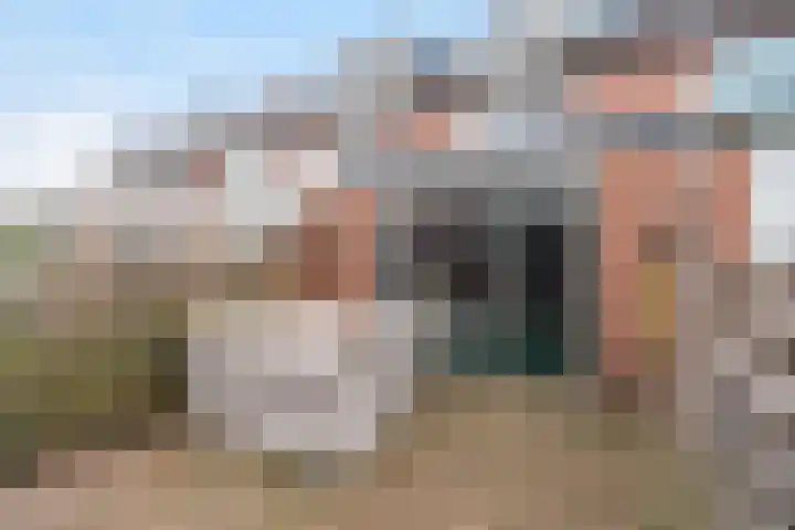 Meeuwenlaan 11 Groot-Ammers thumbnail 28