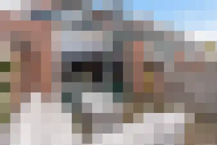 Meeuwenlaan 11 Groot-Ammers thumbnail 29