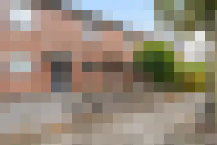 Meeuwenlaan 11 Groot-Ammers thumbnail 32