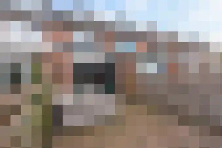 Meeuwenlaan 11 Groot-Ammers thumbnail 5