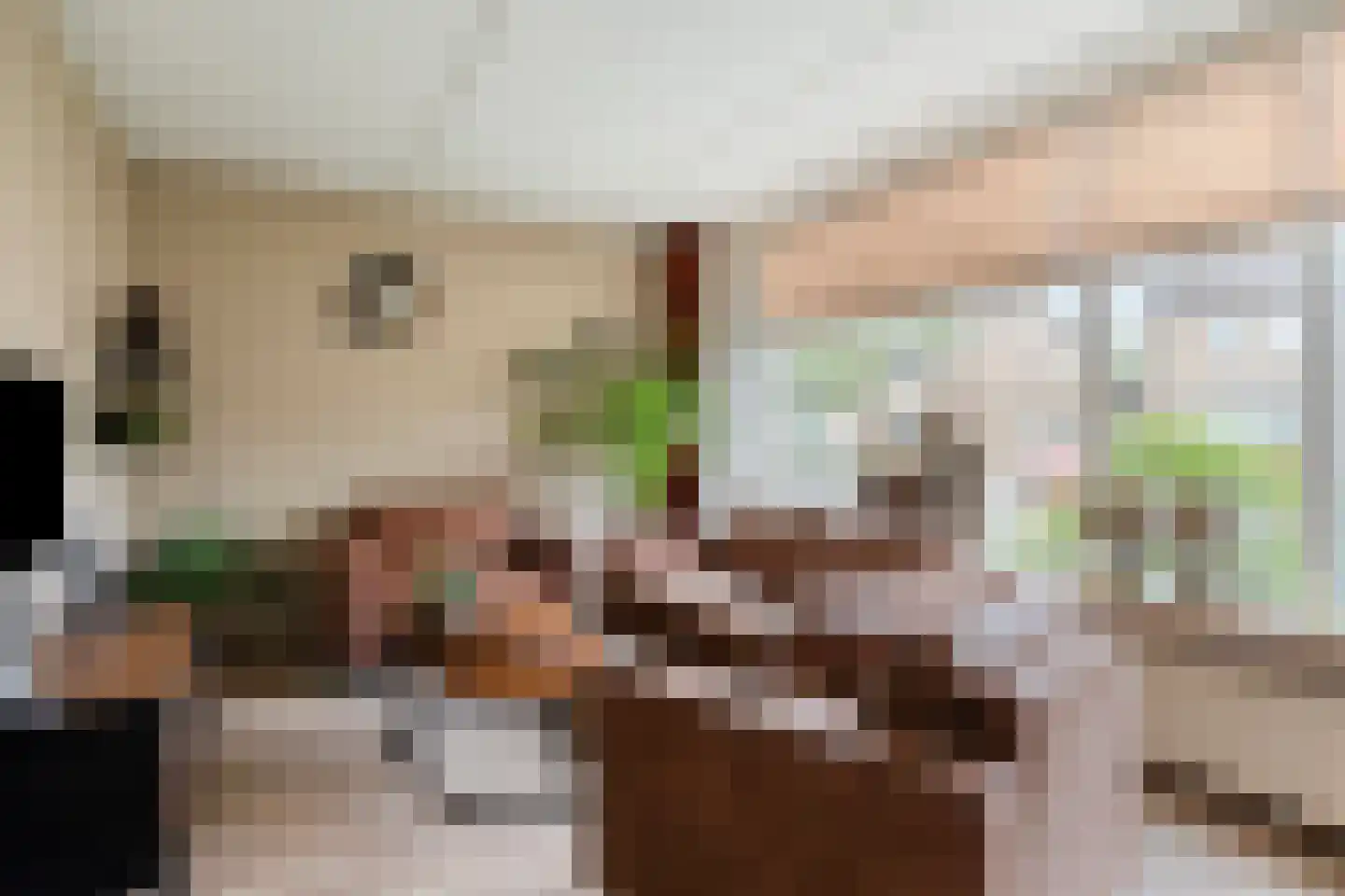 Meeuwenlaan 11 Made thumbnail 11