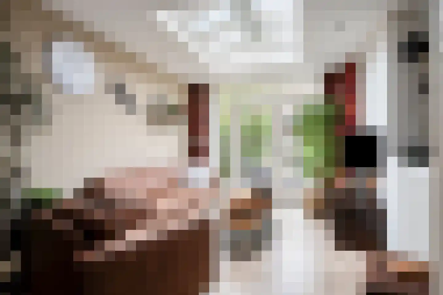 Meeuwenlaan 11 Made thumbnail 12