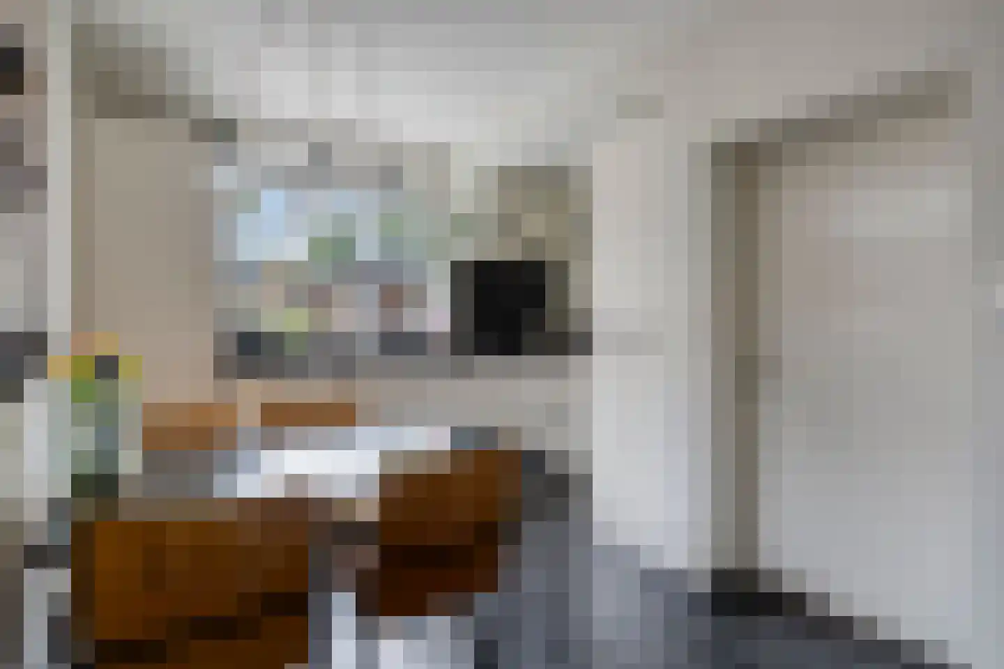 Meeuwenlaan 11 Made thumbnail 17