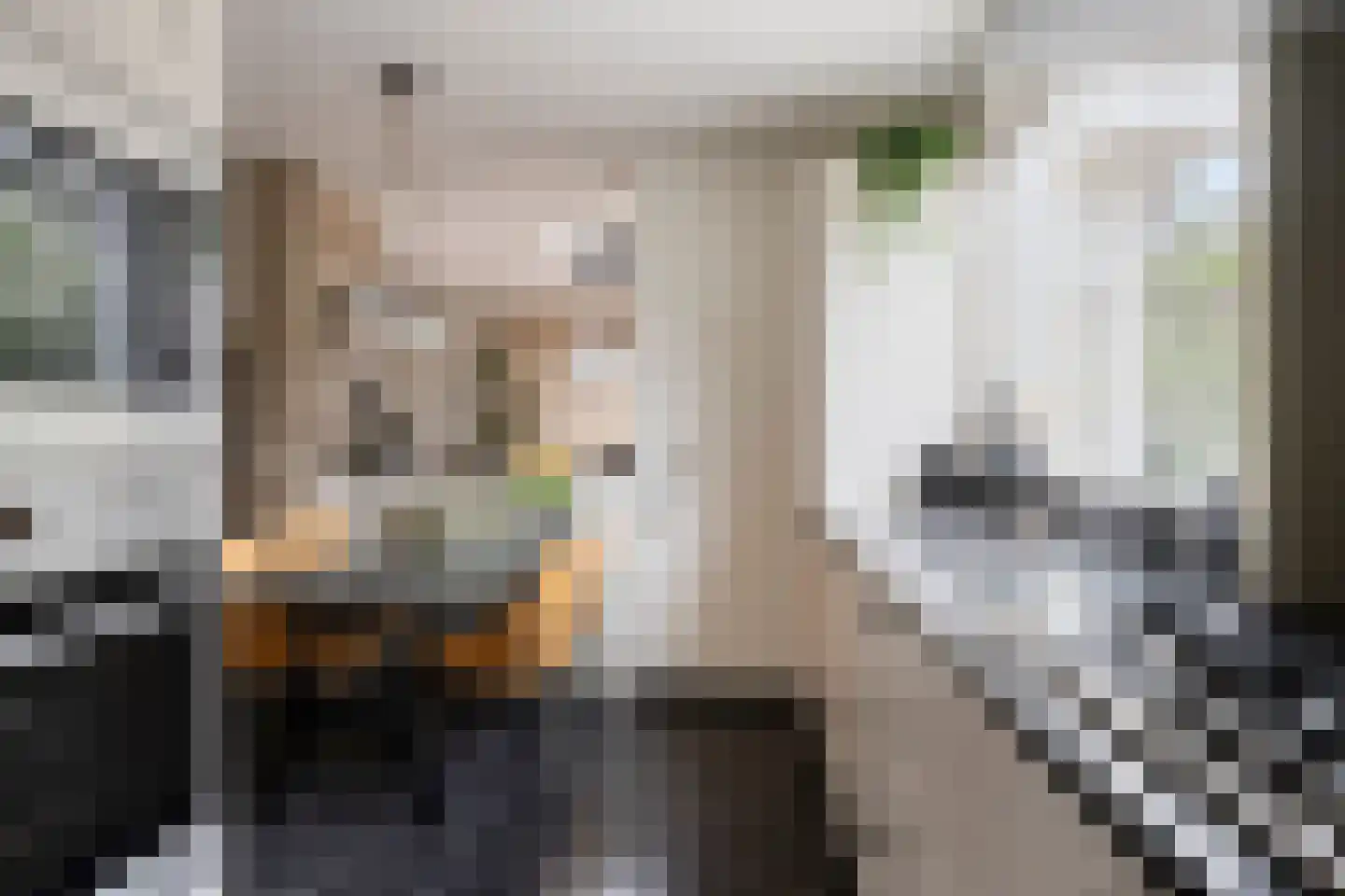 Meeuwenlaan 11 Made thumbnail 18
