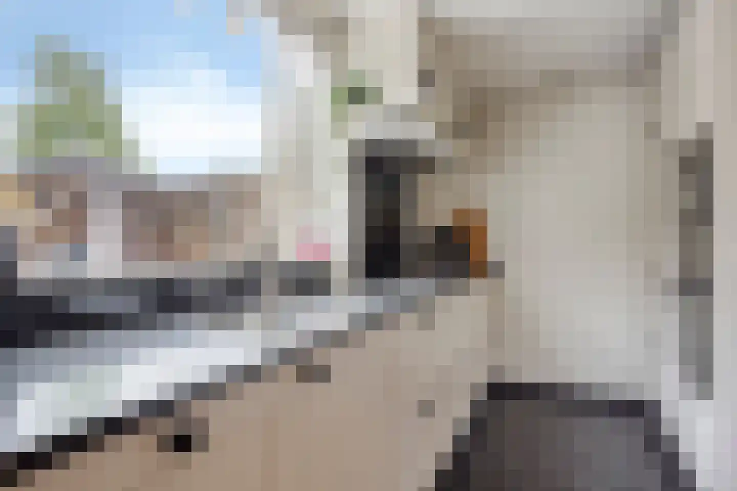 Meeuwenlaan 11 Made thumbnail 19