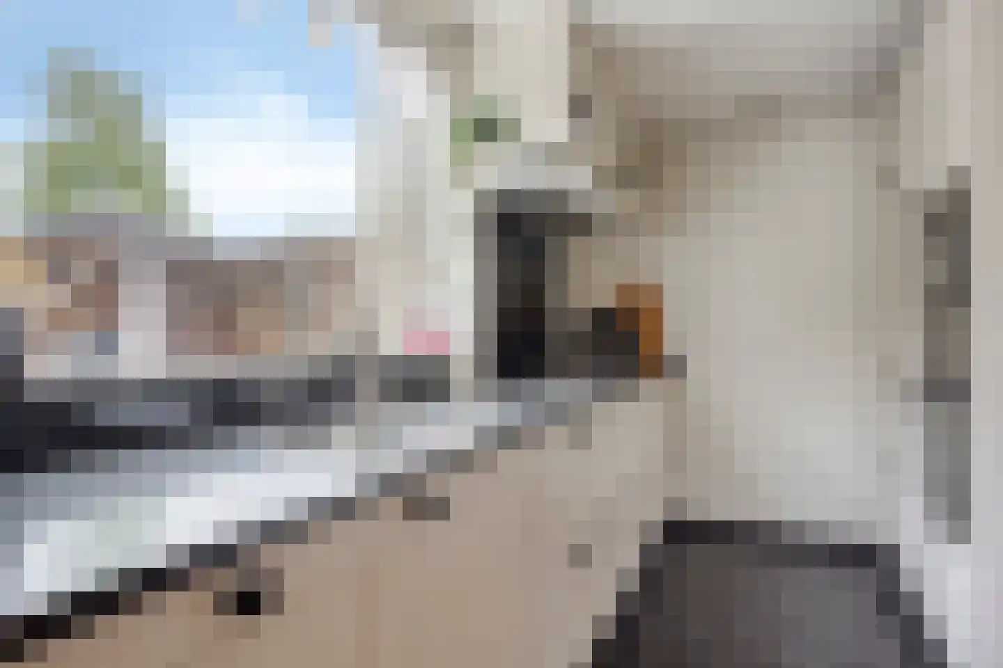 Meeuwenlaan 11 Made thumbnail 19