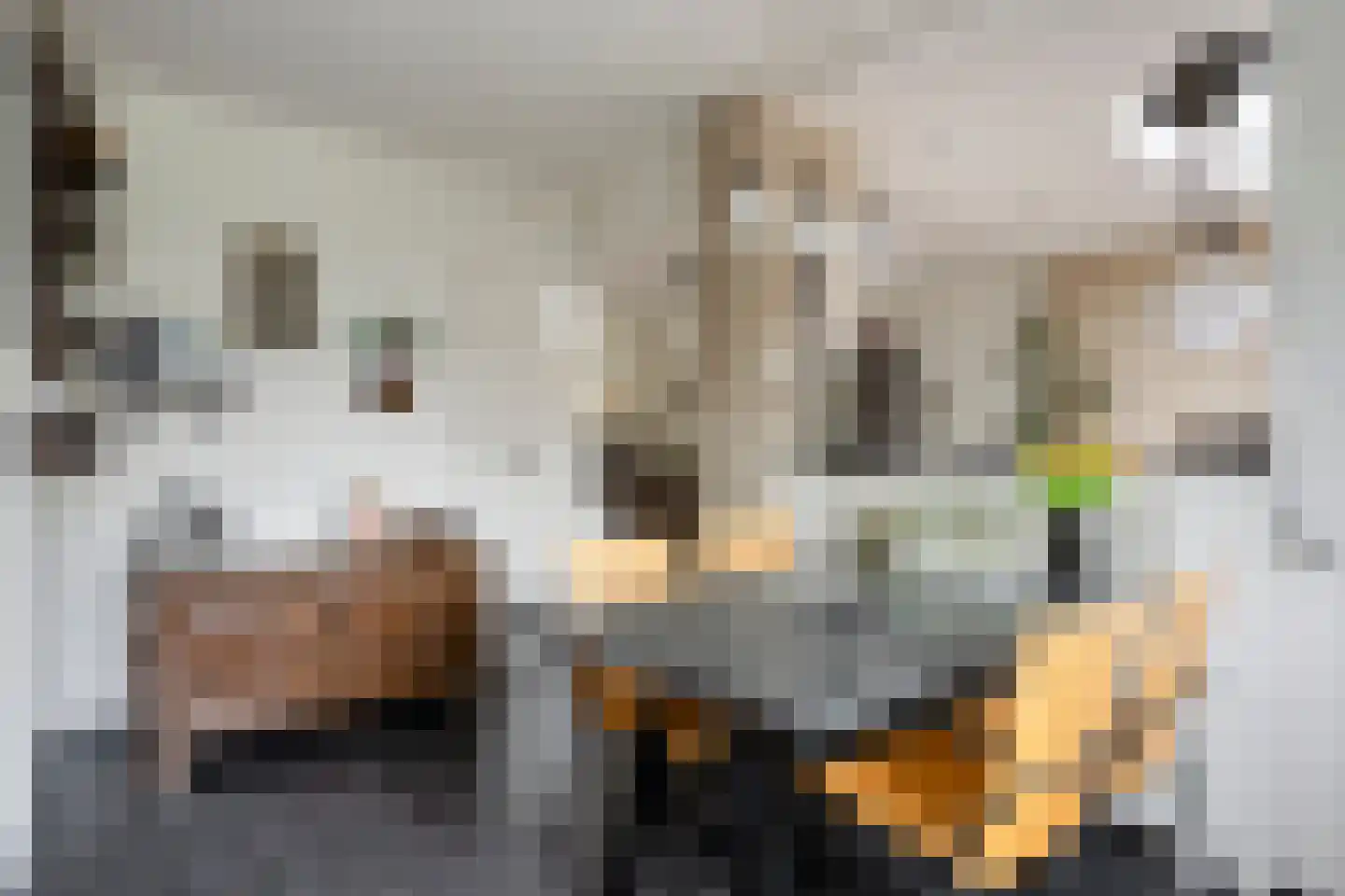 Meeuwenlaan 11 Made thumbnail 20