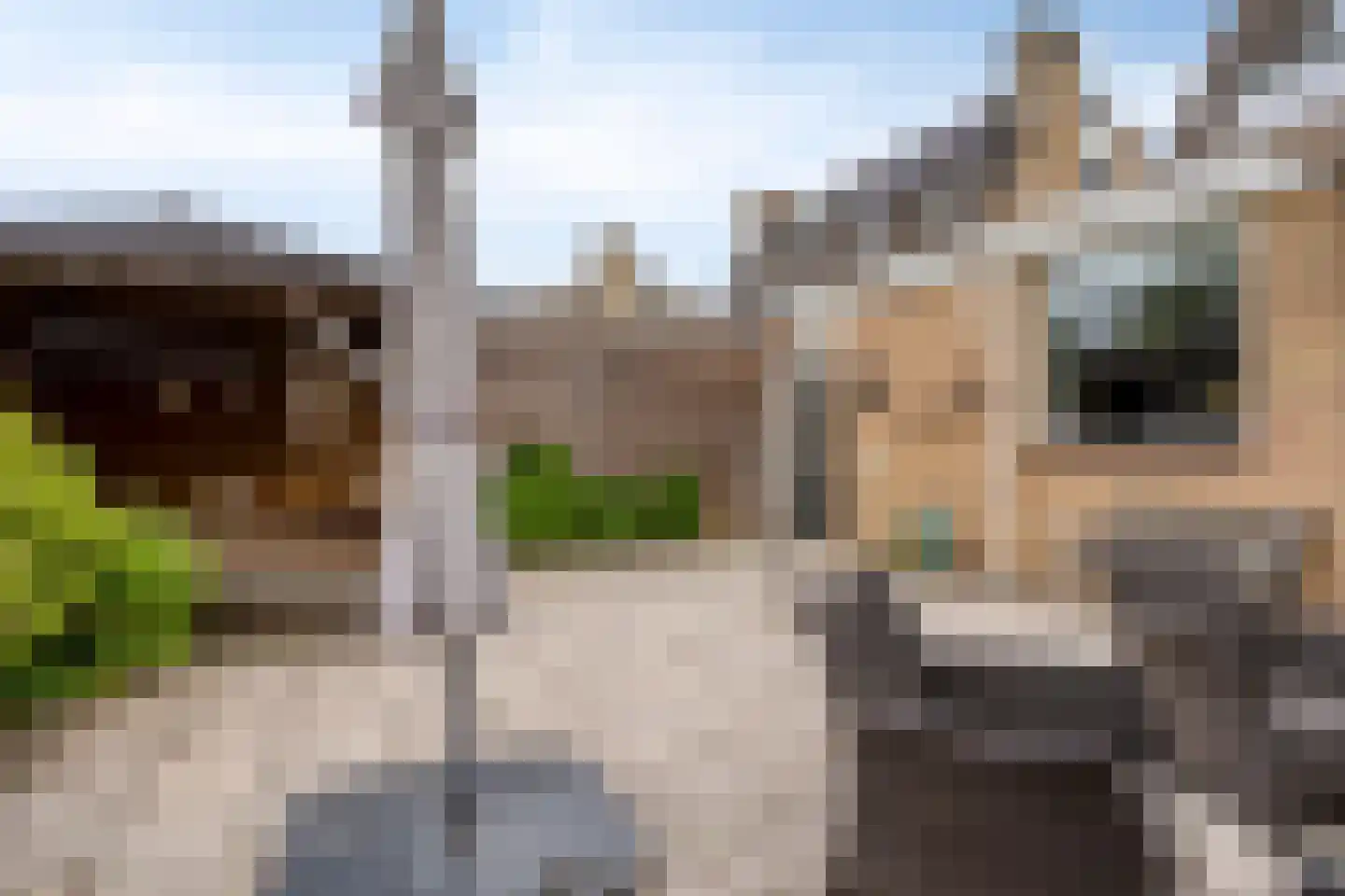 Meeuwenlaan 11 Made thumbnail 40