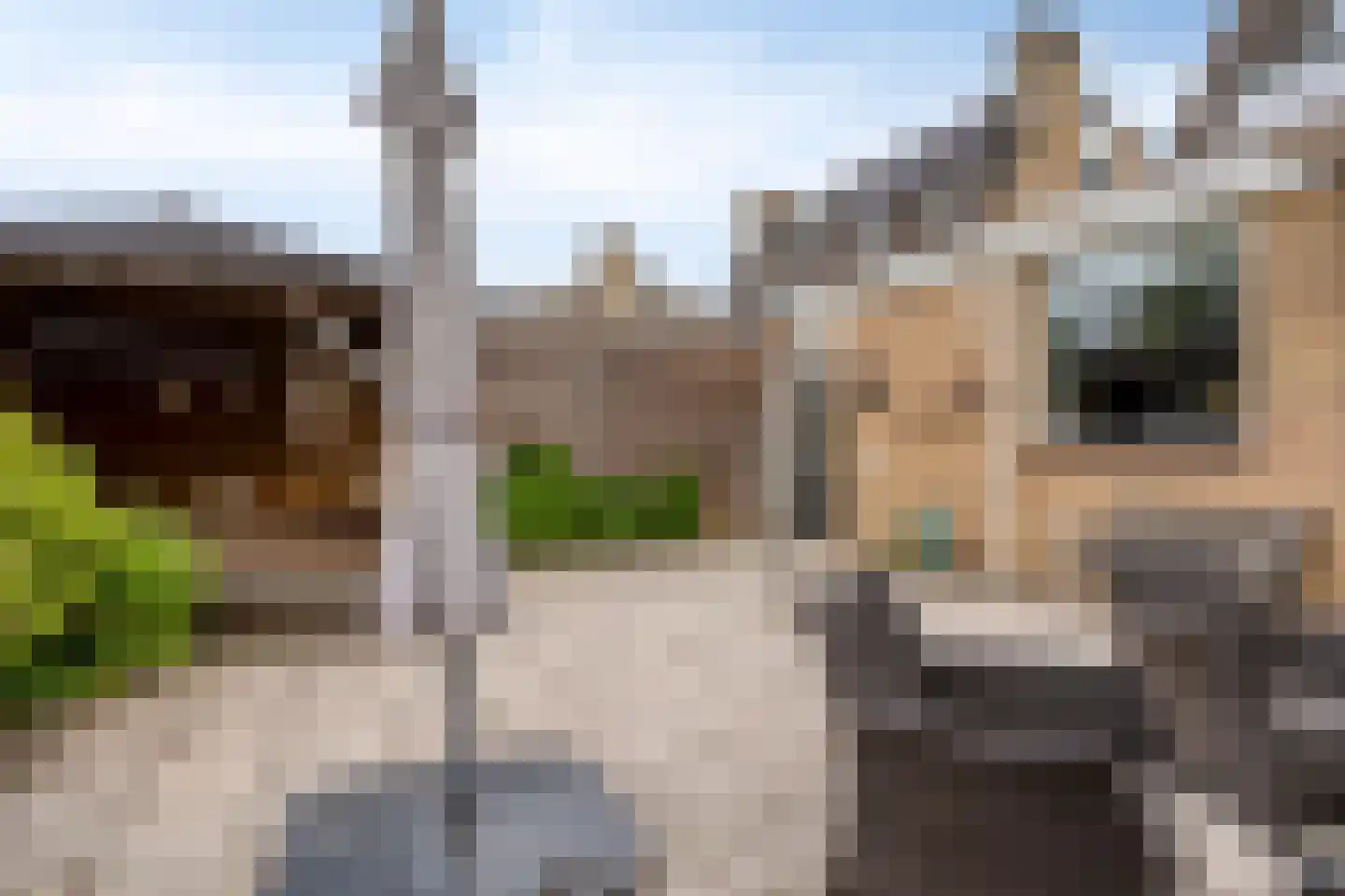 Meeuwenlaan 11 Made thumbnail 40