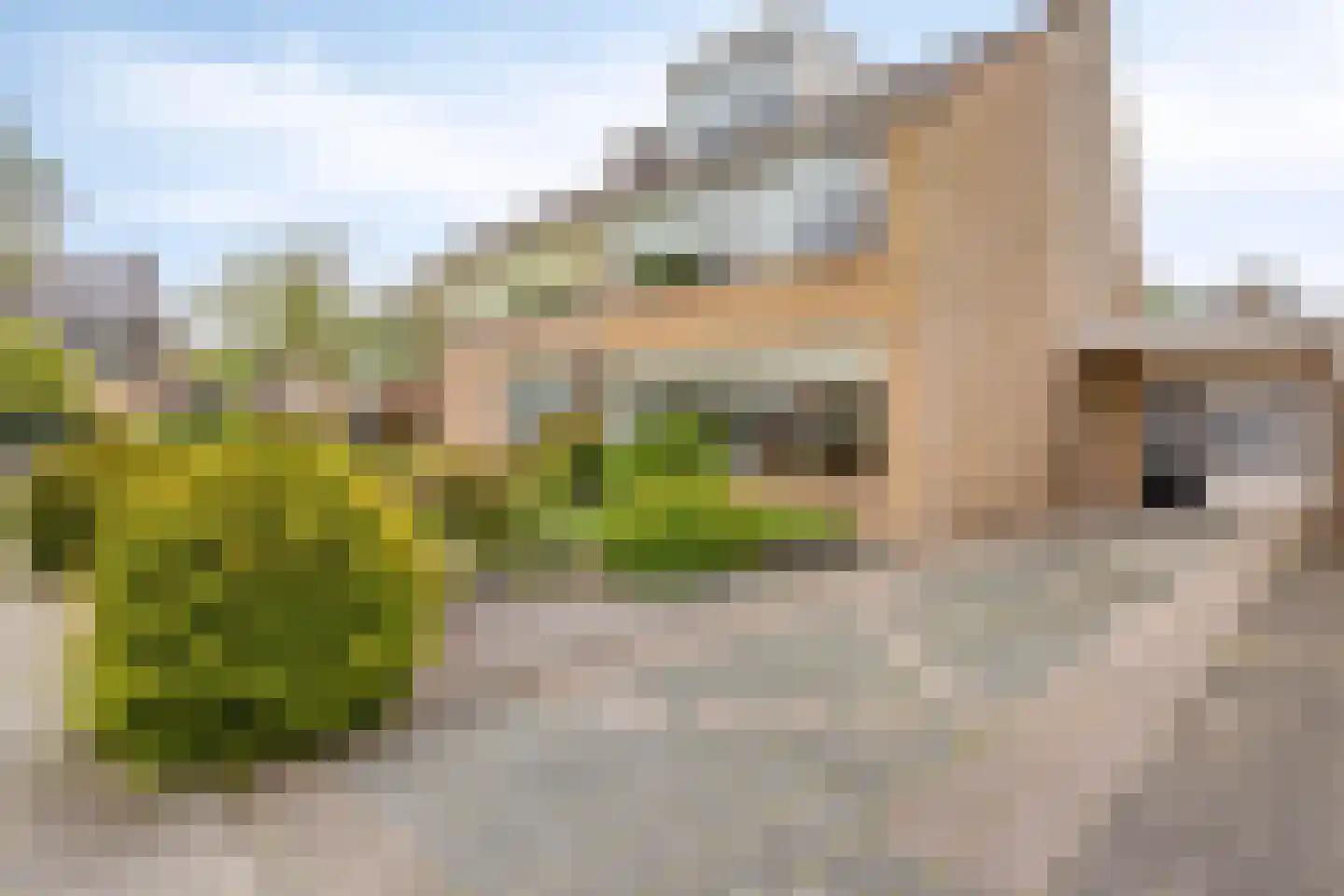 Meeuwenlaan 11 Made thumbnail 43